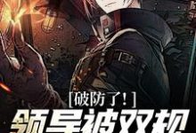 小说完整版《破防了！领导被双规，女友背叛我！》免费阅读-书格格
