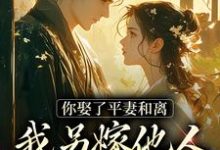 你娶了平妻和离，我另嫁他人拦什么叶南星沈澈，你娶了平妻和离，我另嫁他人拦什么完整版最新章节-书格格