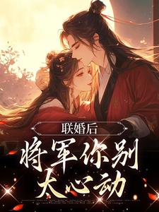 崔琳琅云铮小说叫什么（联婚后，将军你别太心动完整版免费阅读）