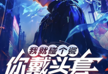 《我就碰个瓷，你戴头套什么意思？》小说免费阅读完整版-书格格