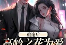 寻找能够免费阅读重逢后,高岭之花为爱变身追妻狂魔小说的平台-书格格