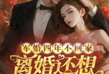 军婚四年不回家，离婚还想不离床最新章节，军婚四年不回家，离婚还想不离床免费阅读-书格格
