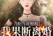 拒当对照组,我果断离婚逃离渣夫小说完结了吗?在哪里可以免费读到?-书格格