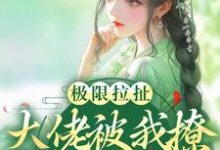 极限拉扯！大佬被我撩得脸红心跳小说的免费电子版在哪里可以下载或阅读？-书格格