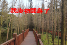 70穿书，我废物翻身了这本小说在哪里可以看？哪里有免费试读章节？-书格格