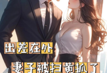《出差在外妻子被扫黄抓了》完整版小说免费阅读-书格格