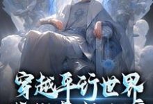 《穿越平行世界，我成暮年大帝》小说大结局免费试读 林辰小说-书格格