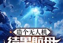 造个无人机，结果航母上天了？小说完结版章节免费阅读-书格格