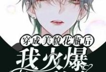 俞辉完整版《穿成美貌花瓶后我火爆娱乐圈》小说免费阅读-书格格