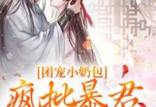 团宠小奶包，疯批暴君沉迷养崽完整版小说免费阅读，团宠小奶包，疯批暴君沉迷养崽小说-书格格