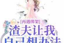 再遇绑架，渣夫让我自己想办法小说的无弹窗阅读体验，寻找免费阅读网站-书格格