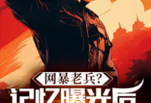 小说《网暴老兵？记忆曝光后全网泪崩！》章节免费阅读-书格格