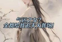 《气运之女？全都给我追夫火葬场！》全集免费在线阅读（陆辰）-书格格