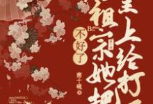 寻找不好了，老祖宗她把皇上打了小说的最新更新章节-书格格