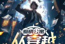 爱情公寓：从穿越火线开始小说完结版章节免费阅读-书格格