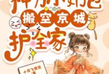 林芷青小说流放，神力小奶包搬空京城护全家章节免费阅读-书格格