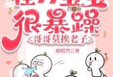 《怪力宝宝很暴躁，哥哥莫挨老子》洛言柒七七完整版小说免费阅读-书格格