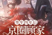 小说完整版《坐牢四年后，京圈顾家跪求我原谅》免费阅读-书格格