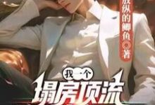 我一个塌房顶流，登顶文娱天王很合理吧？徐澈小说在线章节目录阅读最新章节-书格格