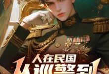 《人在民国，从巡警到最强军阀》林宇完整版小说免费阅读-书格格