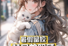 苏然夏沫小说在线章节免费阅读（暑假留校，替兄弟照顾绝美女友无弹窗无删减）-书格格