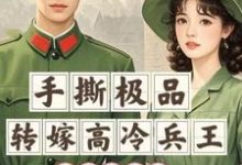 末世穿七零：手撕极品转嫁兵王小说有没有完整的免费版本在线阅读？-书格格