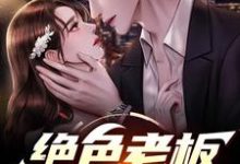 《绝色老板娘的愿望》小说章节列表免费试读，张奇小说在线阅读-书格格