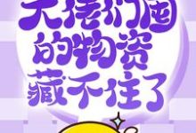 哪里能找到抢穿末日：大佬们囤的物资藏不住了小说的最新更新和免费章节？-书格格