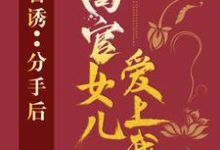 官诱:分手后,高官女儿爱上我小说的免费电子版在哪里可以下载或阅读?-书格格