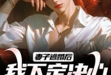 妻子逃婚后,我下定决心选了她完整版小说,妻子逃婚后,我下定决心选了她叶陵苏颜-书格格
