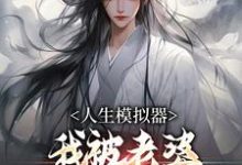人生模拟器：我被老婆逼成世间极境小说全文阅读需要付费吗？寻找免费资源-书格格