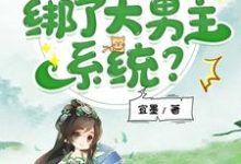 小说《我,修仙虐文女主,绑了大男主系统?》完整版在线章节免费阅读-书格格