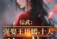 《综武：强娶王语嫣，十天陆地神仙》小说免费阅读完整版-书格格
