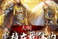 大明：崇祯在我体内，中兴大明这本小说怎么样？免费在线阅读试试-书格格