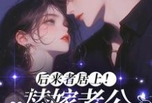 后来者居上！替嫁老公他又争又抢小说有没有完整的免费版本在线阅读？-书格格