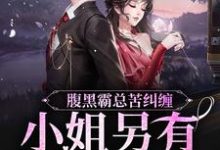 腹黑霸总苦纠缠,小姐另有心上人陆慎司沈漾小说在线章节免费阅读-书格格