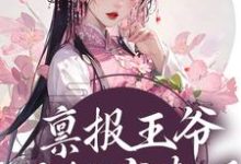 禀报王爷,王妃有喜了!小说完结了吗?在哪里可以免费读到?-书格格