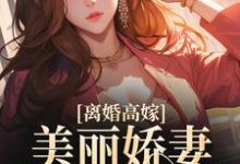 离婚高嫁:美丽娇妻哪里逃小说的最新章节在哪里更新?免费追踪阅读-书格格