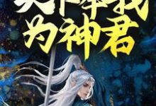 玄幻:被迫出手后,天下奉我为神君小说完结版章节免费阅读-书格格