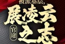 《官途:被派基层,展凌云之志》完整版小说免费阅读-书格格