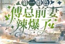 第一婚色:傅总前妻辣爆了小说无弹窗阅读的网站推荐-书格格