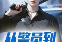 江铭方琴小说《从警员到封疆大吏》完整版免费阅读-书格格