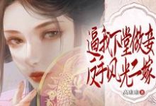 逼我下堂做妾？反手风光二嫁！安绫雪在线章节免费阅读-书格格