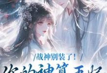 战神别装了！你的神算王妃快跑了！小说全文哪里可以免费看？-书格格