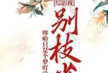 寻找能够免费阅读综影视：别枝雀小说的平台-书格格