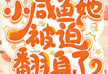宋黎洛苏墨瑾小说《七零：小咸鱼她被迫翻身了》在线阅读-书格格