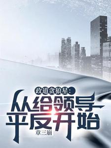 政道贪狼星：从给领导平反开始陈诚在线章节免费阅读