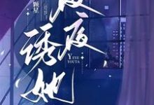 完结版《夜夜诱她》章节阅读-书格格