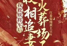 免费在线阅读我救赎将军后，权相追妻火葬场了小说的正规网站有哪些？-书格格