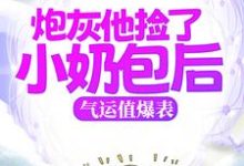 炮灰他捡了小奶包后,气运值爆表小说的无弹窗阅读体验,寻找免费阅读网站-书格格